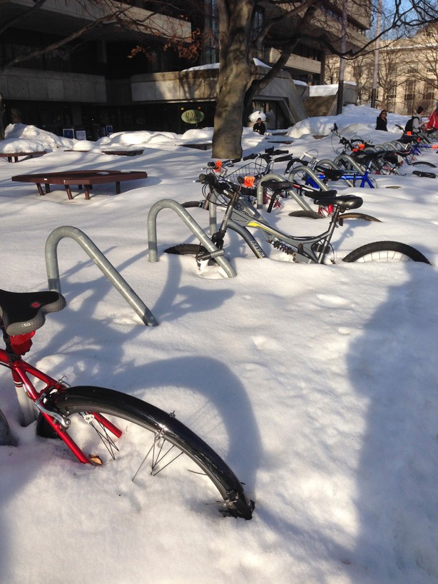 You would think MIT students would know how to treat a bike.